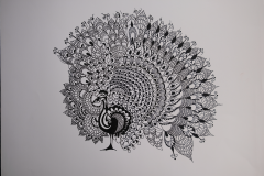 Peacock
