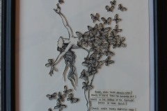 butterflies